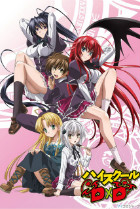 Высшая школа DxD(High School DxD) Постер Высшая школа DxD (High School DxD) Постер