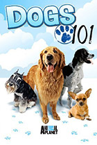 Введение в собаковедение(Dogs 101) Постер Введение в собаковедение (Dogs 101) Постер