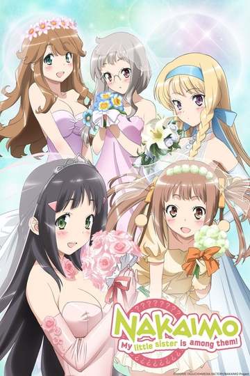 Nakaimo - My Sister Is Among Them! / この中に1人、妹がいる! (anime)