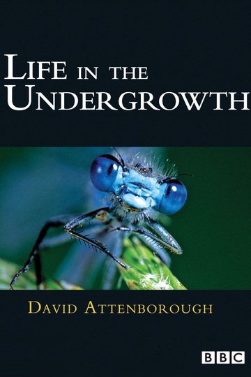 Life in the Undergrowth (show)