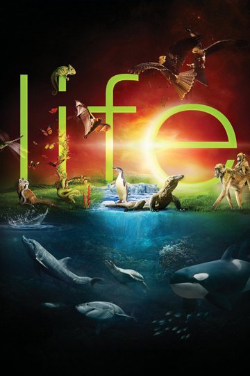 Жизнь / Life (сериал)