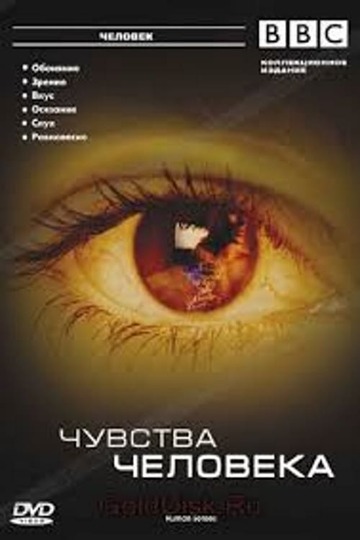 Чувства человека / Human Senses (сериал)