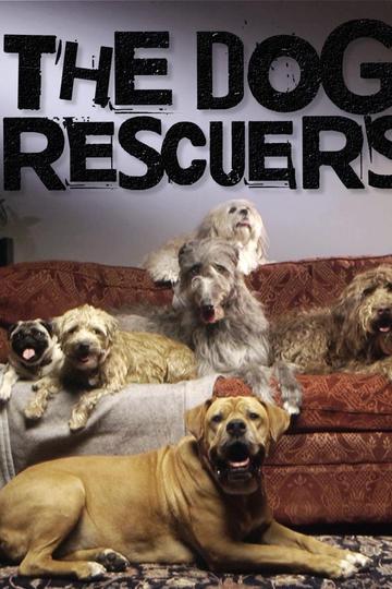 The Dog Rescuers with Alan Davies (show)