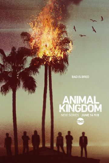 По волчьим законам / Animal Kingdom (сериал)