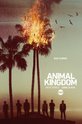 Animal Kingdom (show) 