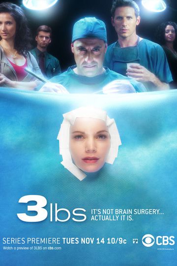 3 Фунта / 3 lbs. (сериал)