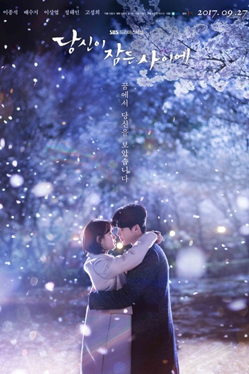 While You Were Sleeping / 당신이 잠든 사이에 (show)