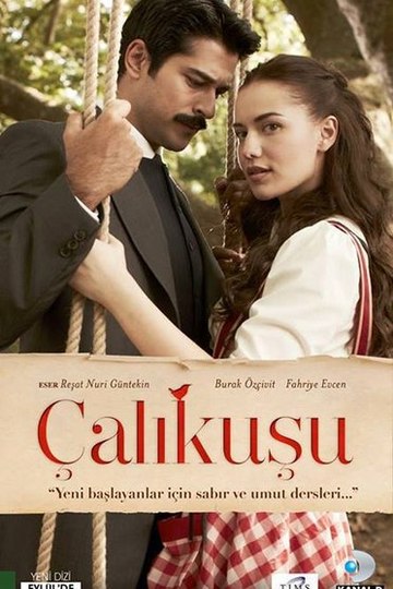 Lovebird / Çalikusu (show)