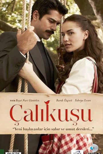 Королёк – птичка певчая / Çalikusu (сериал)