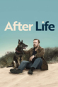 Жизнь после смерти / After Life (сериал)