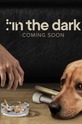 In the Dark (show) 