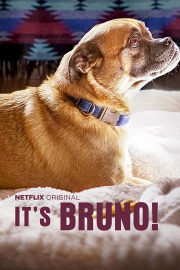 Это Бруно! / It's Bruno! (сериал)