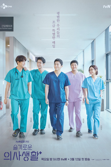 Hospital Playlist / 슬기로운 의사생활 (show)