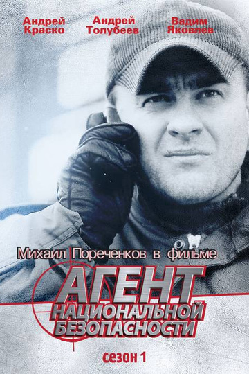 Агент национальной безопасности (сериал)