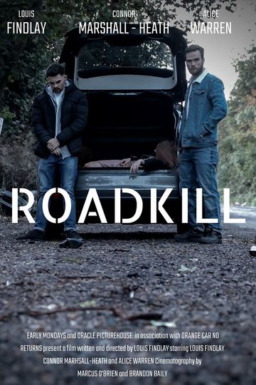 Скользкий путь / Roadkill (сериал)