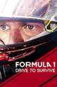 Формула 1. Драйв выживания / Formula 1: Drive to Survive (сериал) 