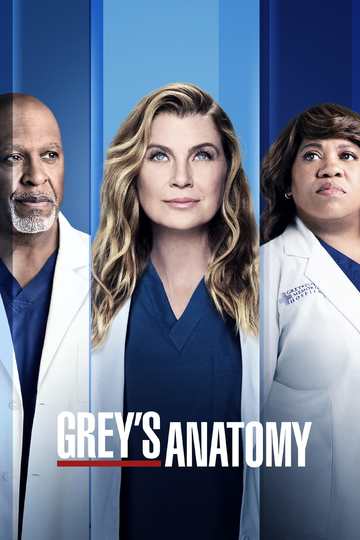 Анатомия страсти / Grey's Anatomy (сериал)