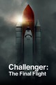 Челленджер: Последний полёт / Challenger: The Final Flight (сериал)