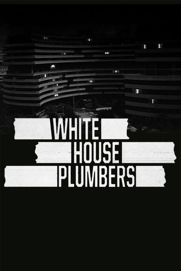 Сантехники Белого дома / The White House Plumbers (сериал)