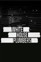 The White House Plumbers (show) 