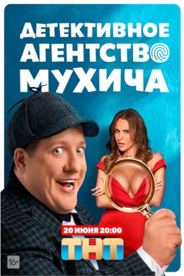 Детективное агентство Мухича (сериал)